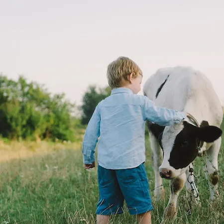 Goldjuwel - Luxury With Private מלון דירות