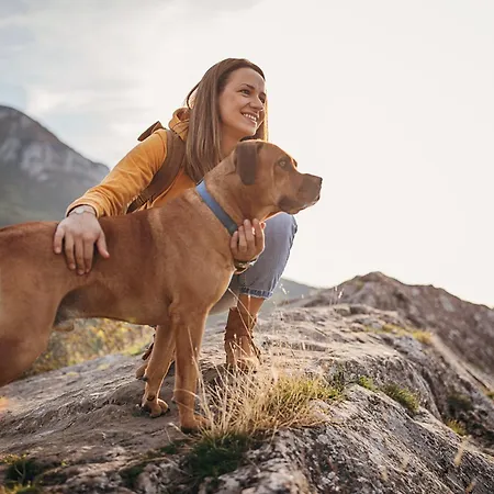 Goldjuwel - Luxury With Private アパートホテル ゴールデック