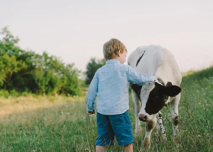 Goldjuwel - Luxury With Private Aparthotel